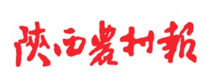 陕西农村报